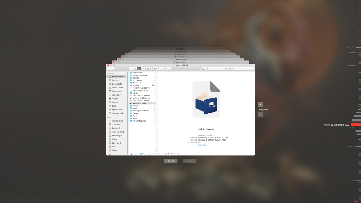 Go back in time with TimeMachine