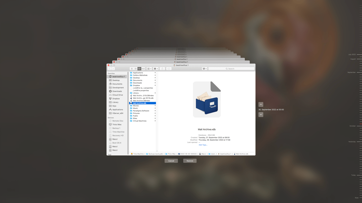 Select version from TimeMachine